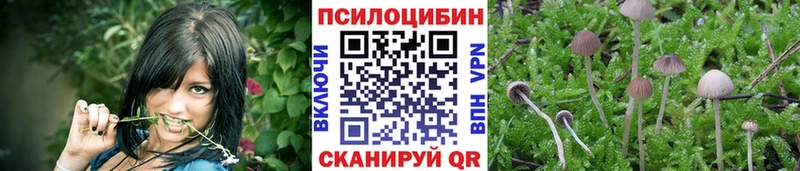 Псилоцибиновые грибы Magic Shrooms  нарко площадка какой сайт  Сортавала 